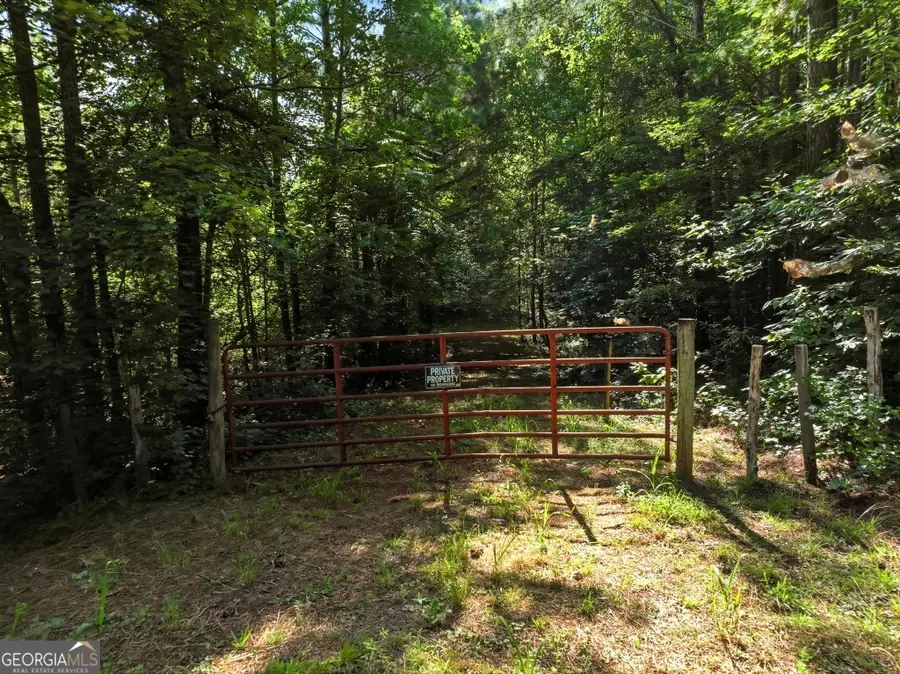 00000 Chitwood Road, Banks, GA 30511 - #2