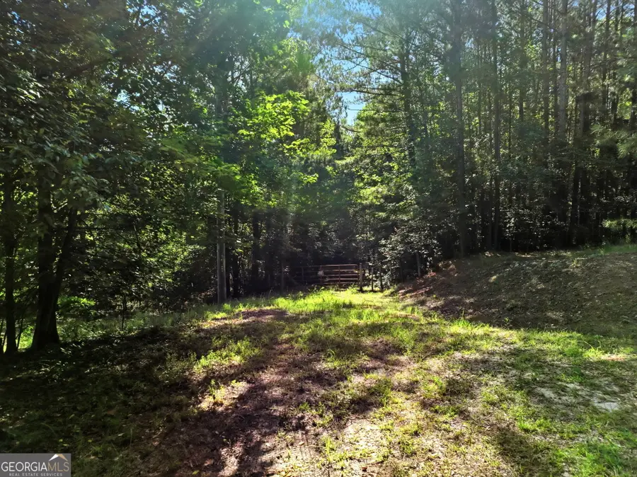 00000 Chitwood Road, Banks, GA 30511 - #3