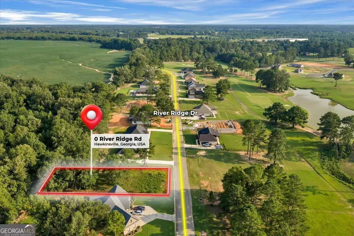 0 River Ridge Drive, Hawkinsville, GA 31036 - #1