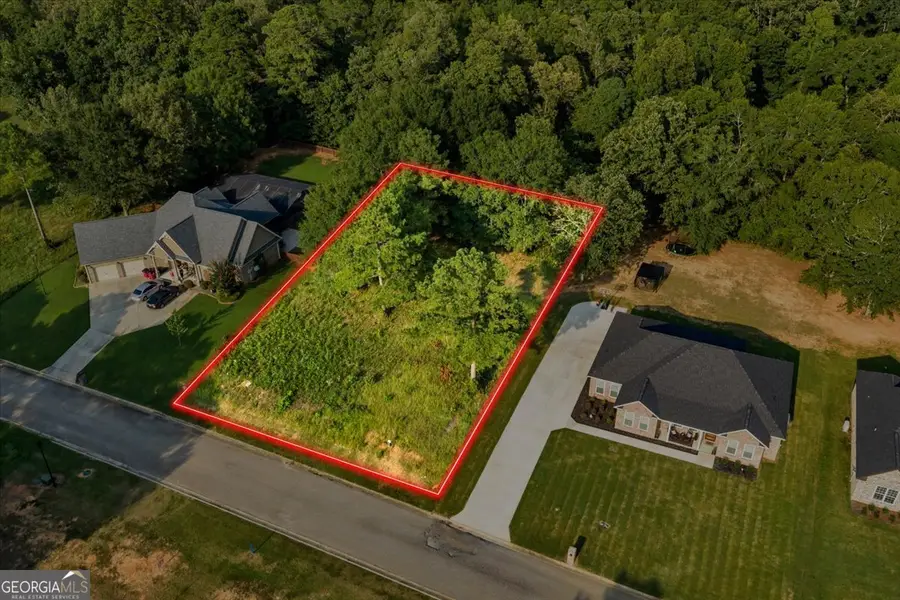0 River Ridge Drive, Hawkinsville, GA 31036 - #3