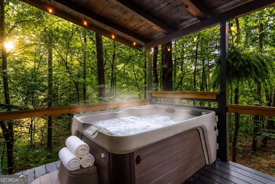 25 Nickwasi Way, Blue Ridge, GA 30513 - #3
