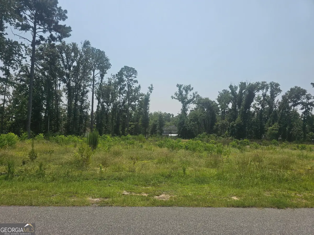 0 Chesley Drive, Vidalia, GA 30474 - #1