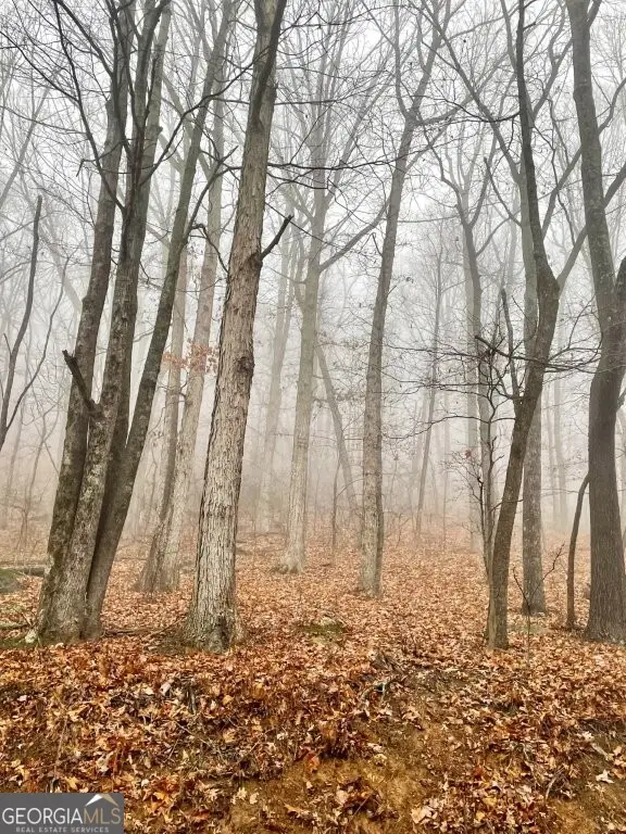 0 Fox Mountain Road, Gwaltneys, NC 28363 - #2
