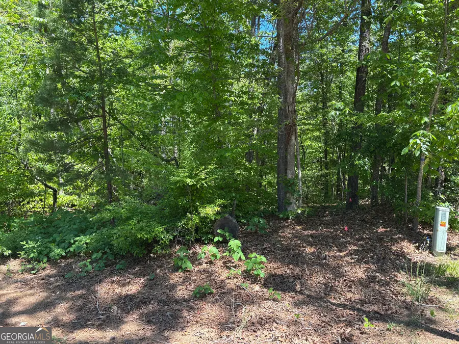 LOT 15 Cross Creek Drive, Toccoa, GA 30577 - #2