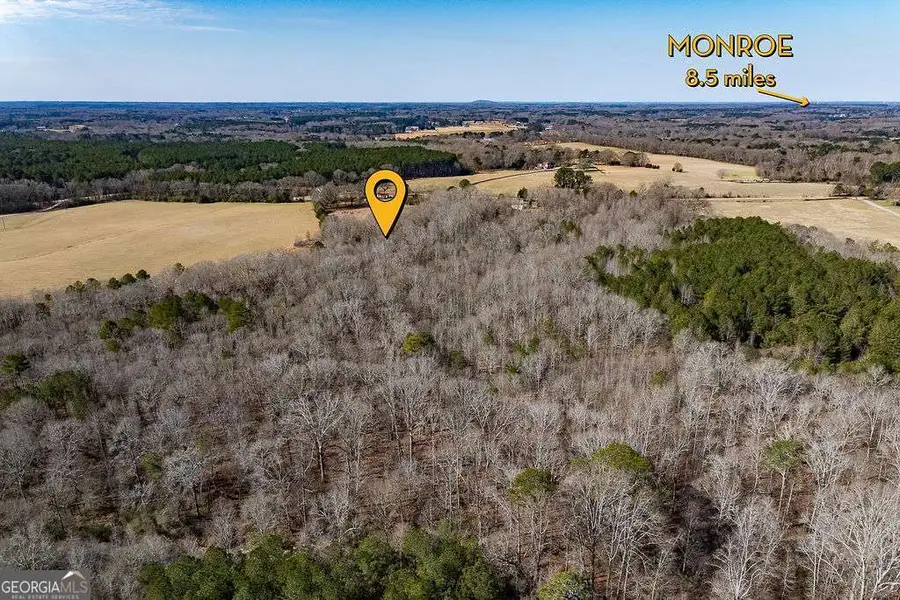 2644 Nunnally Shoals Tract 2 Road, Good Hope, GA 30641 - #2