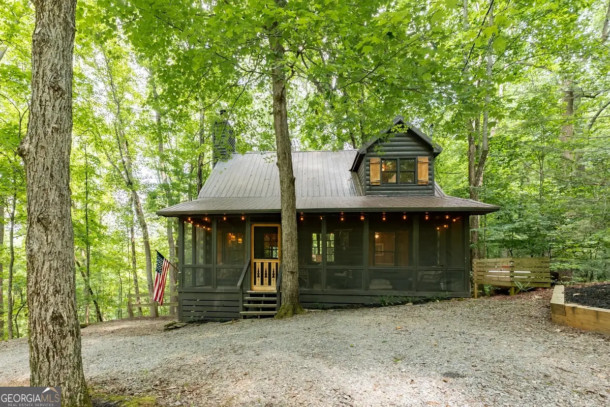 681 Skyview Drive, Ellijay, GA 30536 - #1