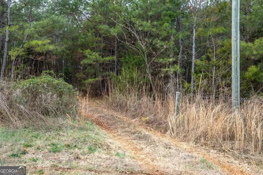 740 Broad River Church Road E, Eastanollee, GA 30538 - #2