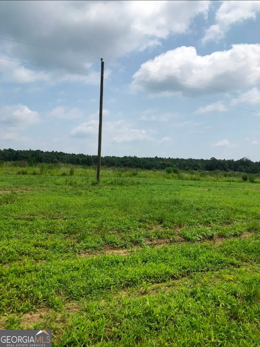 0 Mosley Road, Uvalda, GA 30473 - #2