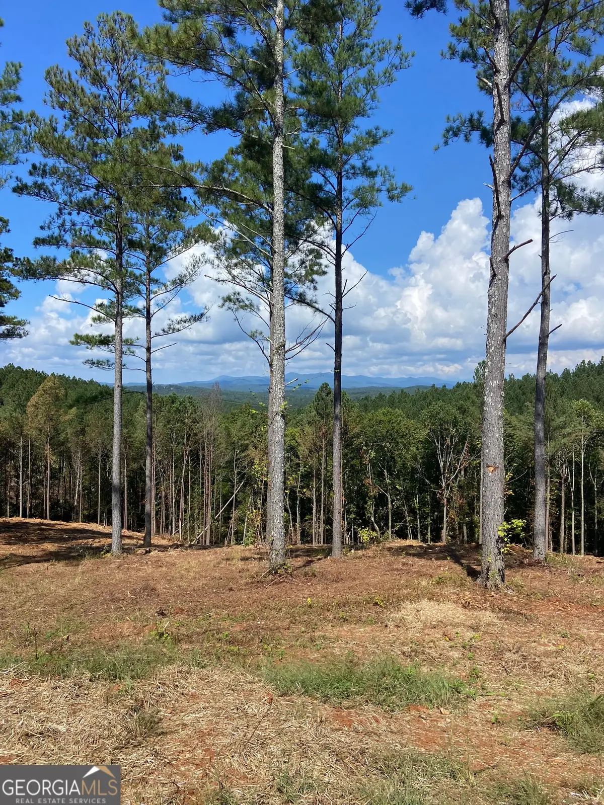 LOT 63 Lacey Springs Lane, Ellijay, GA 30540 - #1