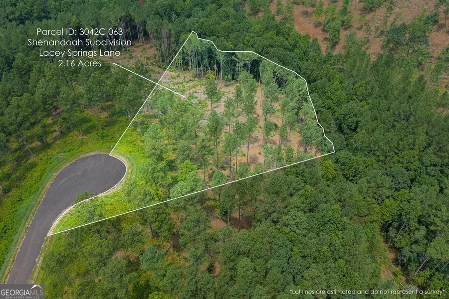 LOT 63 Lacey Springs Lane, Ellijay, GA 30540 - #3