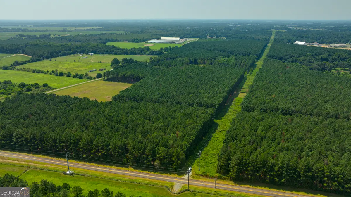 0 Northern County Line Road, Unadilla, GA 31091 - #1