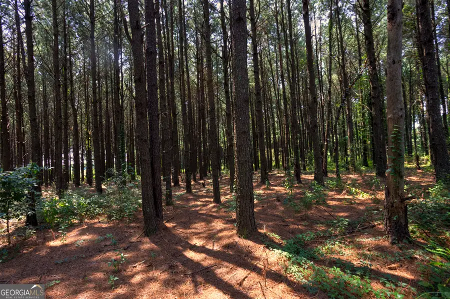 0 Northern County Line Road, Unadilla, GA 31091 - #2
