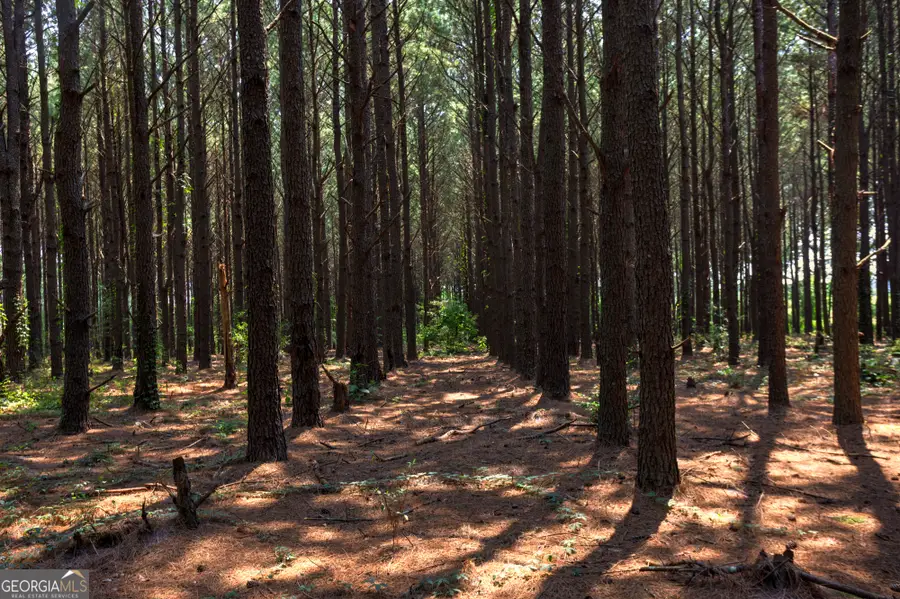 0 Northern County Line Road, Unadilla, GA 31091 - #3