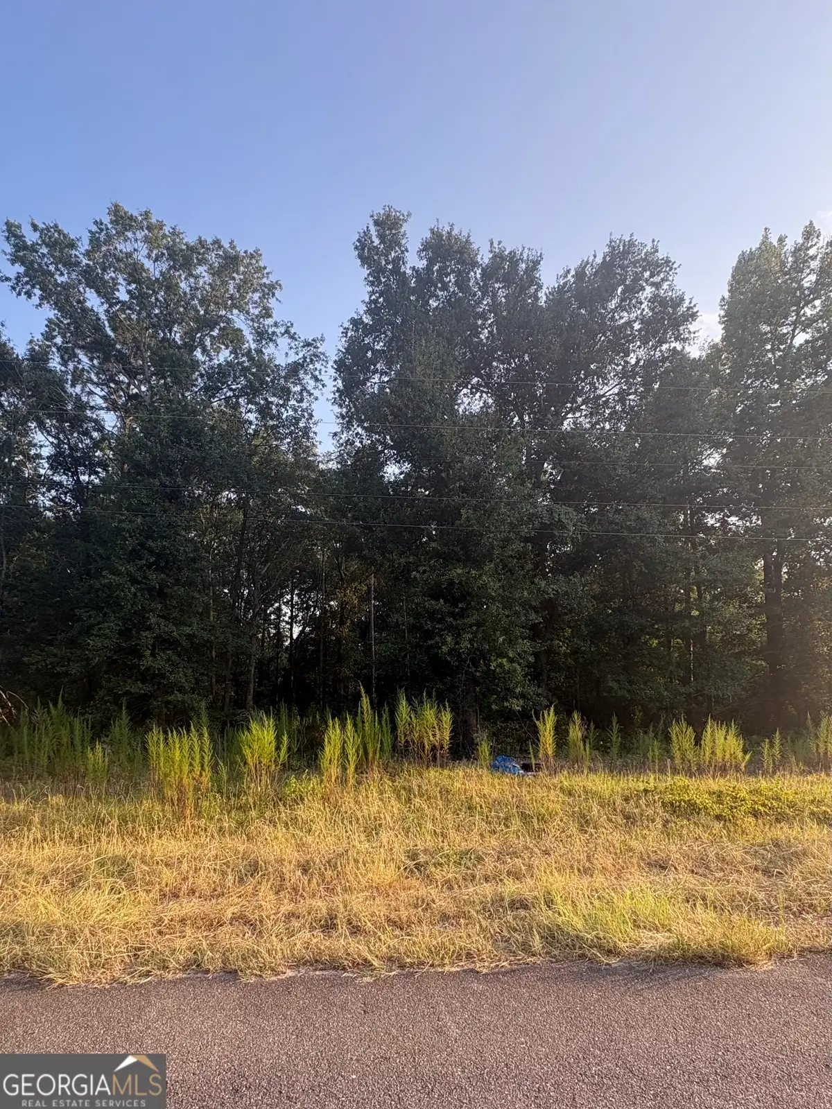 00 Bridgemill Rd, East Dublin, GA 31027 - #1