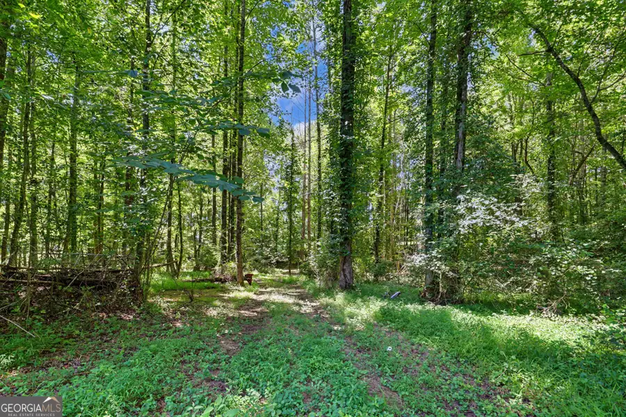 422 Fair Valley Road, Demorest, GA 30535 - #3