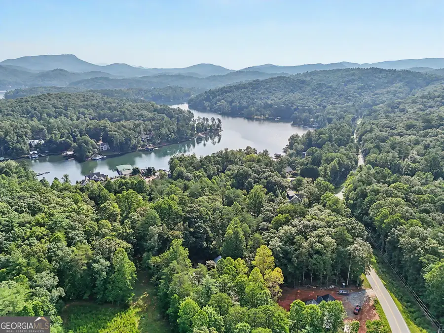 2597 Burton Dam Road, Clarkesville, GA 30523 - #3