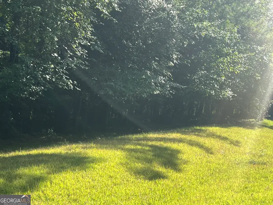 230 Cotton Indian Creek Road, McDonough, GA 30252 - #3