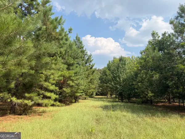 014 S Carter Fish Pond Road, Plains, GA 31780
