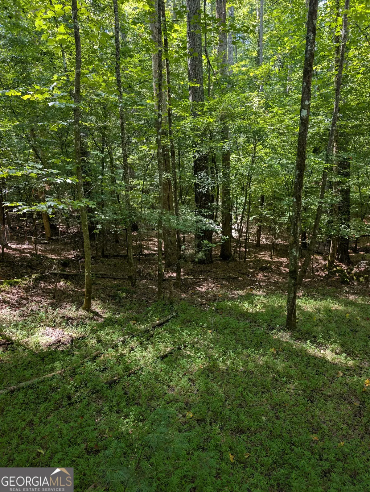 LOT 3079 Monocle Drive, Ellijay, GA 30540 - #1