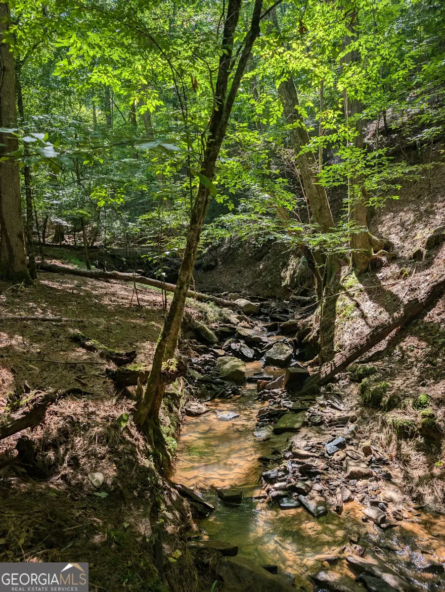 LOT 3079 Monocle Drive, Ellijay, GA 30540 - #3