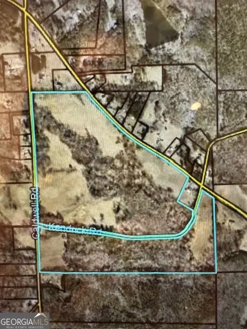 LOT 2 Caldwell, Zebulon, GA 30295 - #3