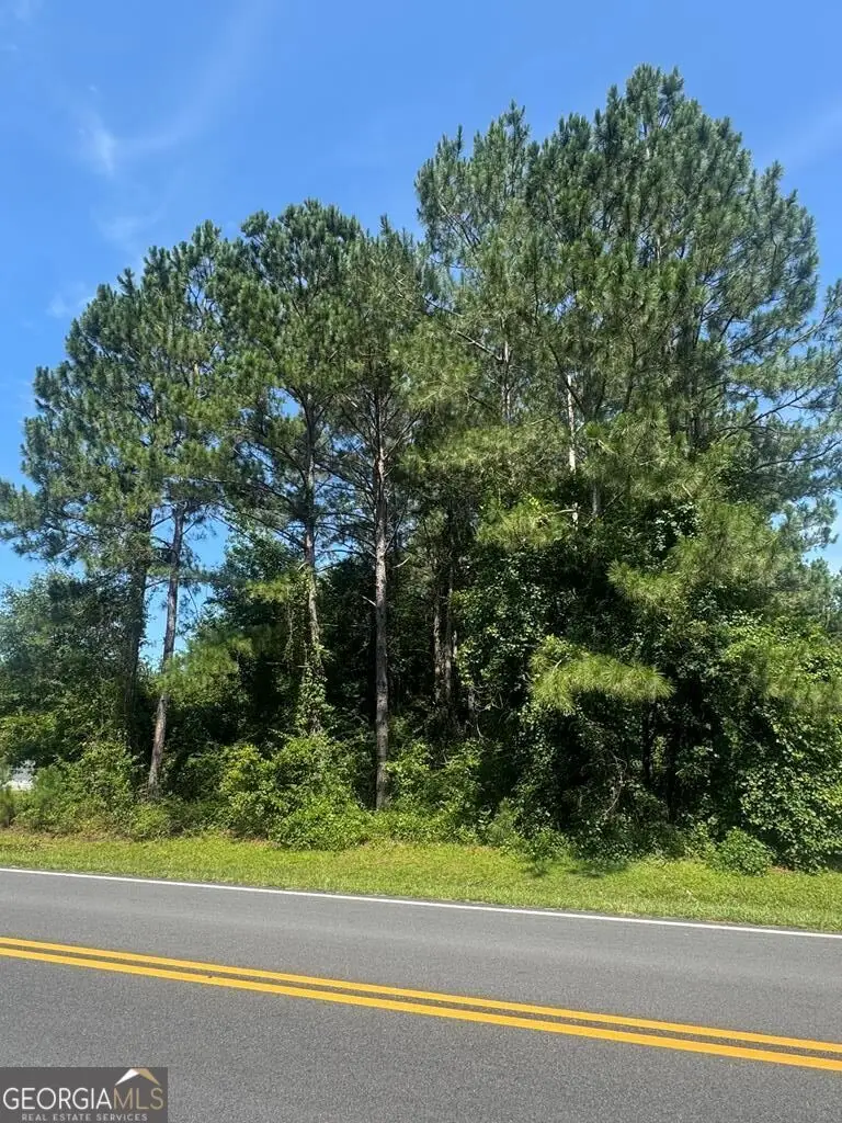 00 Payne Rd, Rentz, GA 31075 - #3