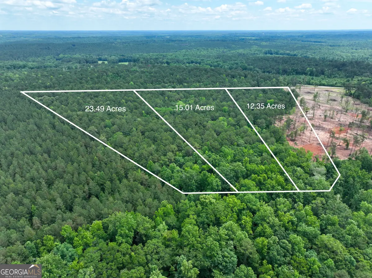 12.35 +/- AC White Road, Pine Mountain, GA 31822 - #1