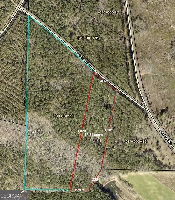 12.35 +/- AC White Road, Pine Mountain, GA 31822 - #2