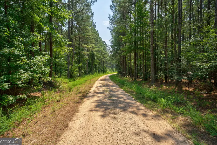 0 Jabez Poyner Road, Carlton, GA 30627 - #2