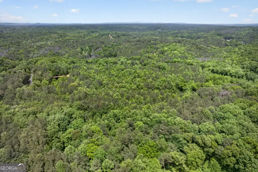 665 Tibbitts Road, Dallas, GA 30132 - #3
