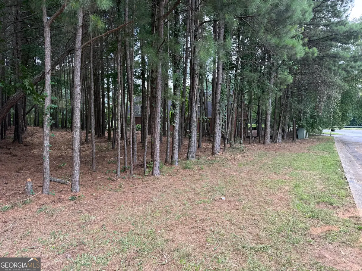 4210 Mundy Mill Place, Oakwood, GA 30566 - #1