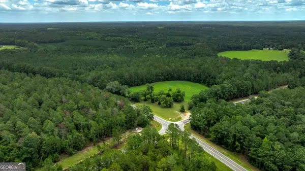 0 Ga Highway 169, Claxton, GA 30417