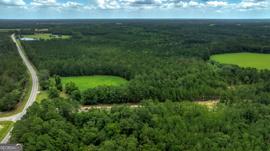 0 Ga Highway 169, Claxton, GA 30417 - #2
