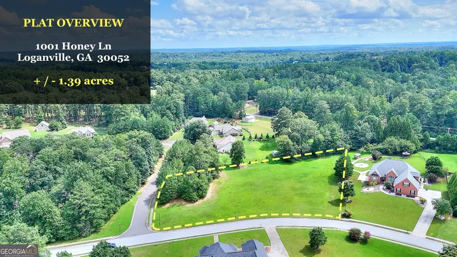 1001 Honey Lane, Loganville, GA 30052 - #3