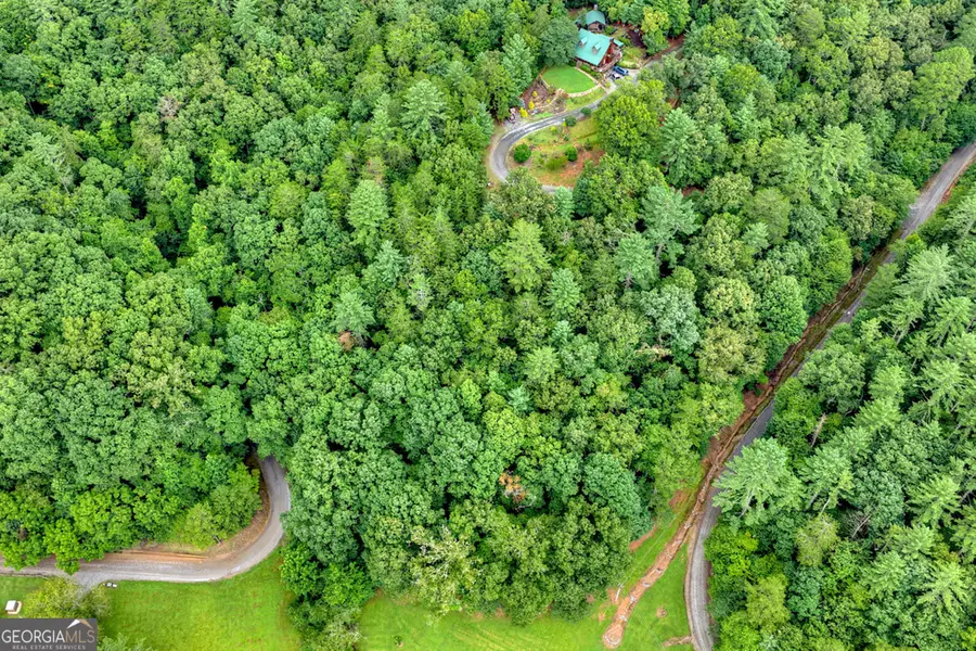 LOT 5B Toccoa River Forest, Mineral Bluff, GA 30559 - #3