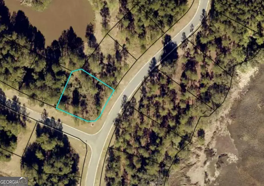 V/L 528 Beacon Pointe Parkway, Waverly, GA 31565 - #2