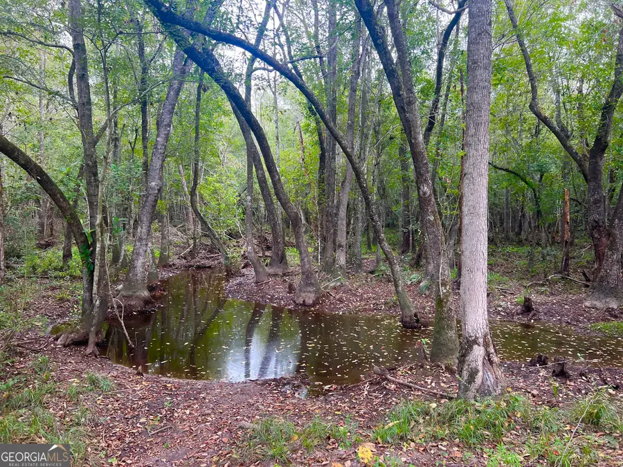 0 Old Ailey-lothair Road, Mount Vernon, GA 30445 - #3