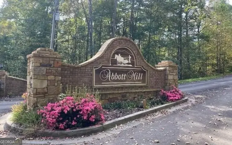 0 Abbott Mill Road, Ellijay, GA 30540 - #1