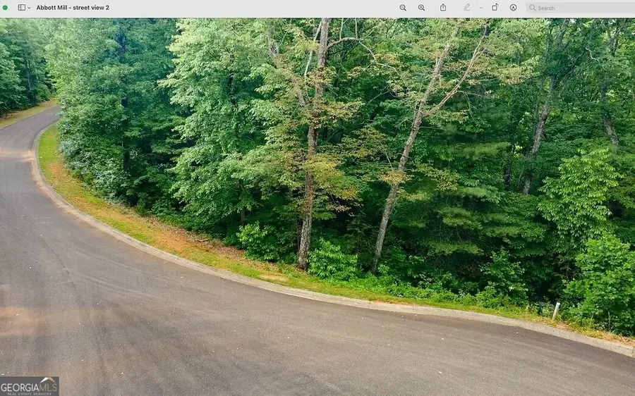 0 Abbott Mill Road, Ellijay, GA 30540 - #3