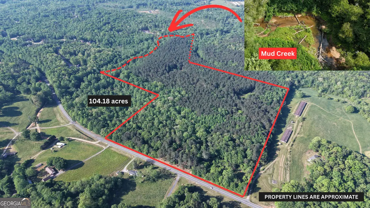 3729 Duncan Bridge Road, Cornelia, GA 30531 - #1