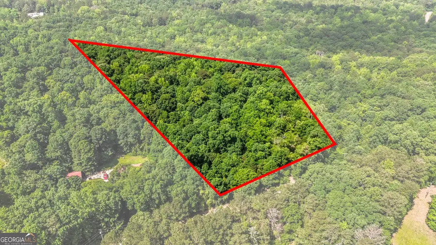 355 Chuli Road, Locust Grove, GA 30248 - #2