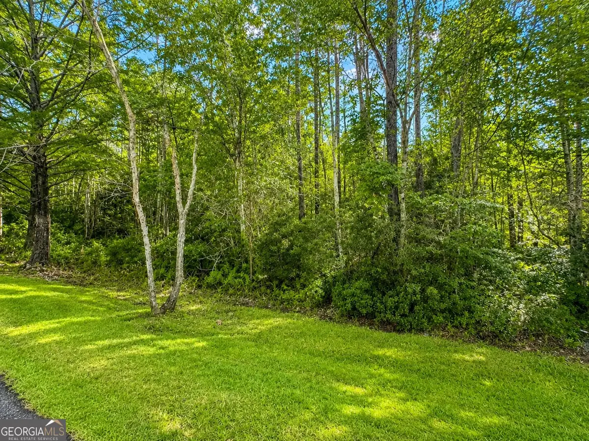 LOT 163 La Terra Lane, Waverly, GA 31565 - #1