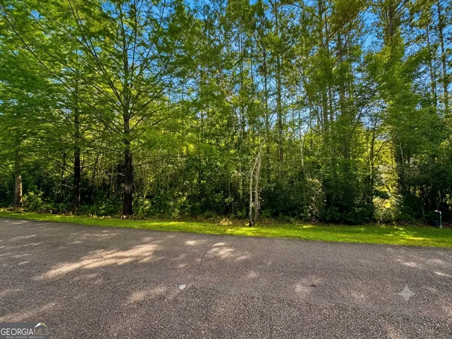 LOT 163 La Terra Lane, Waverly, GA 31565 - #2