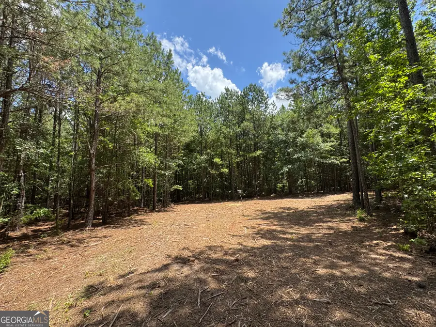 2 Roy Lawrence Road, Sparta, GA 31087 - #3