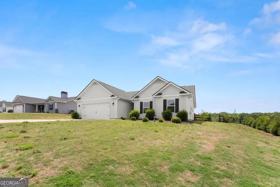 810 Anderson Thomas Road, Martin, GA 30557 - #3