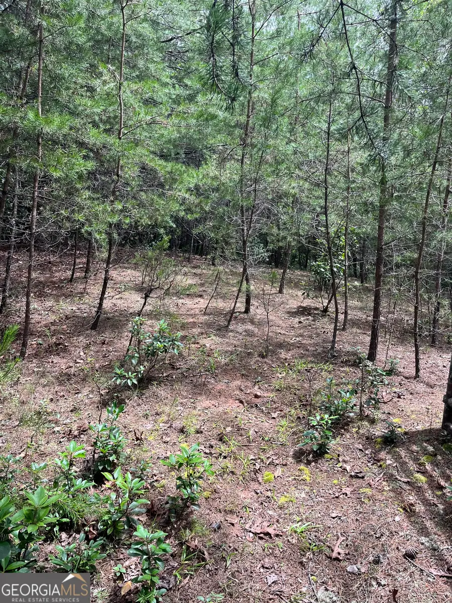 0 Windy Ridge, Otto, NC 28763 - #2