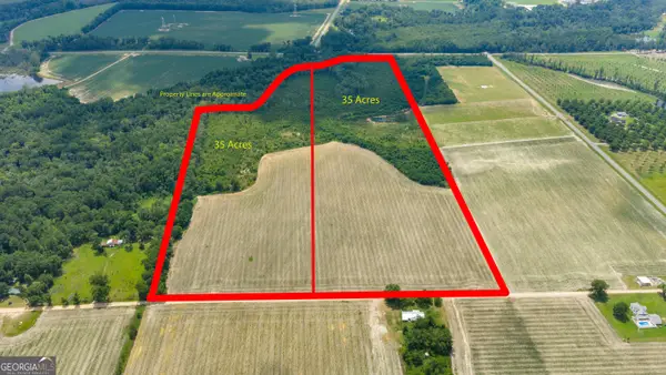 TRACT 2 Wade Aycock Road, Surrency, GA 31563