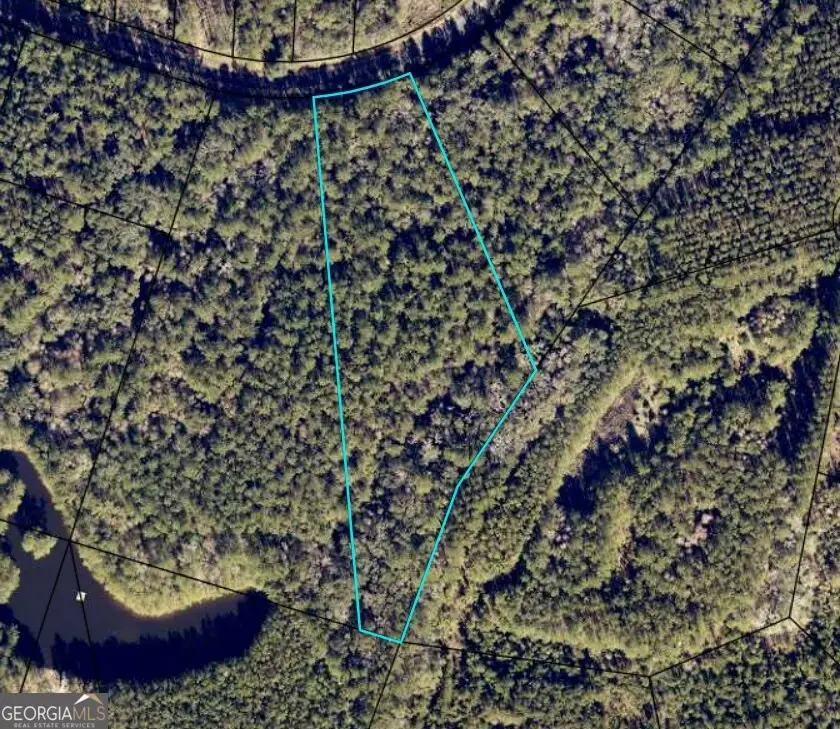 LOT 88 La Sole Lane, Waverly, GA 31565 - #1