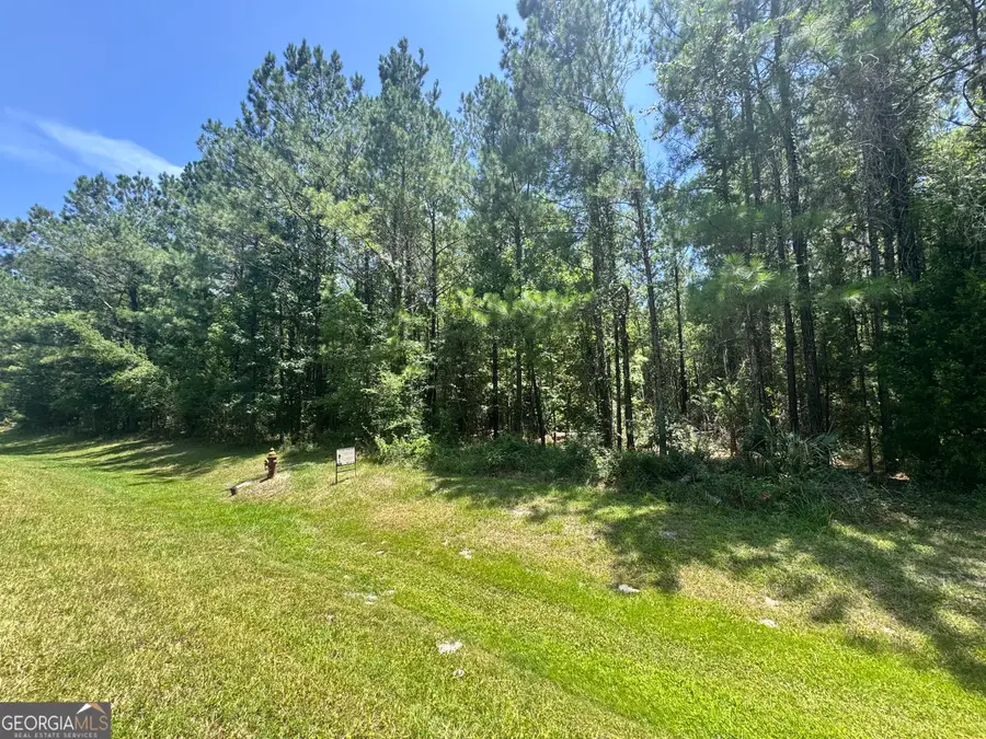 LOT 88 La Sole Lane, Waverly, GA 31565 - #2