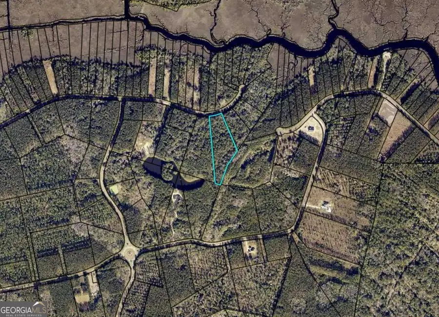LOT 88 La Sole Lane, Waverly, GA 31565 - #3
